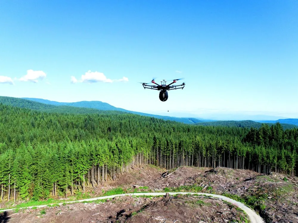 Tracking vegetation and erosion change by aerial monitoring